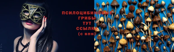 метамфетамин Богородицк