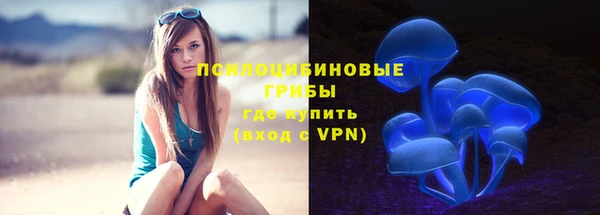 метамфетамин Богородицк