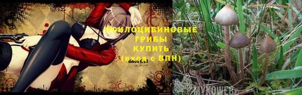 марихуана Богданович