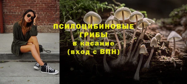 метамфетамин Богородицк